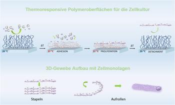 Thermoresponsive Oberflächen