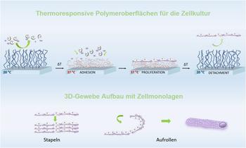 Thermoresponsive Oberflächen