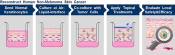 Non Melanoma Skin Cancer