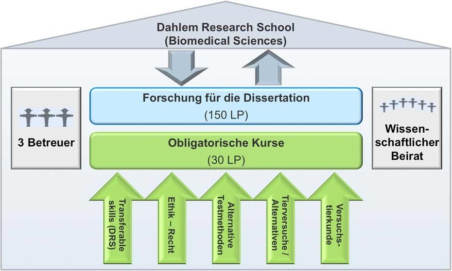 Aufbau des Graduiertenkollegs