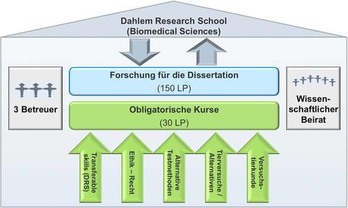 Aufbau des Graduiertenkollegs